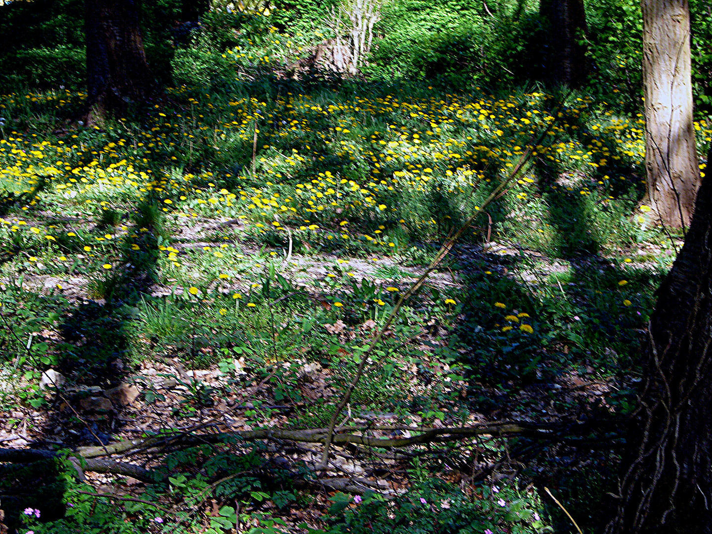 Licht und Schatten - Sehnsucht nach Licht und Sonne!