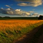 Licht und Schatten streifen über das Land