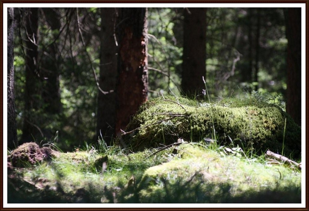 Licht und Schatten Teil 2