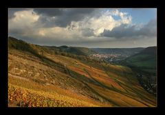 Licht und Schatten über dem Weinberg