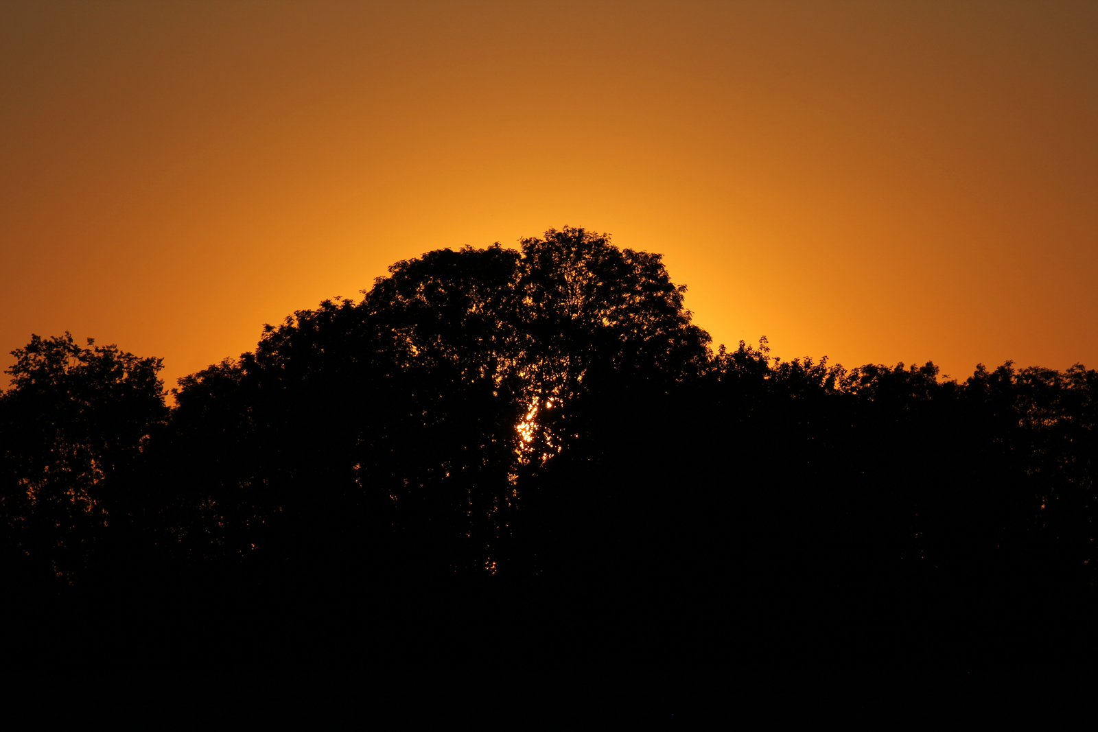 Licht und Schatten vor Sonnenuntergang