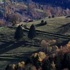 Licht und Schatten - Wegspuren am Nordhang