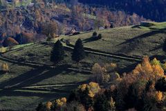 Licht und Schatten - Wegspuren am Nordhang