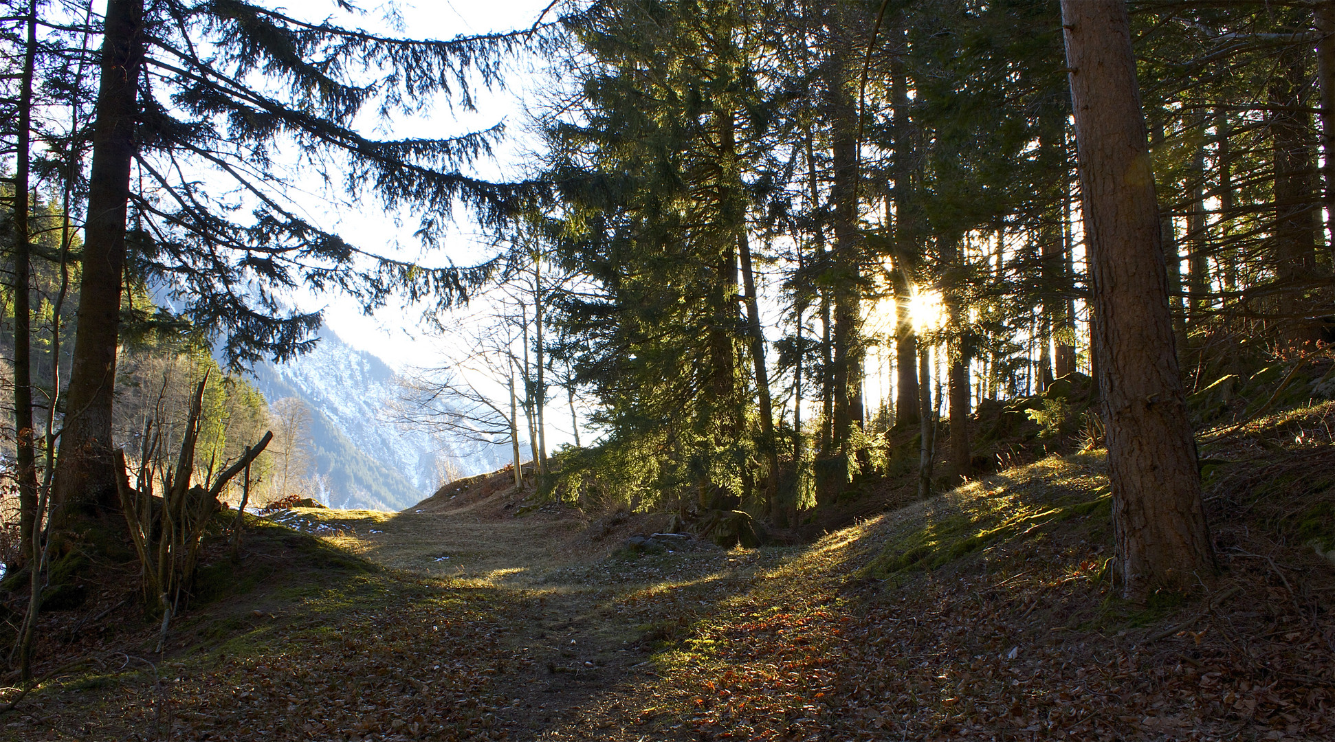 Licht und Schatten,Frentschenberg Bristen