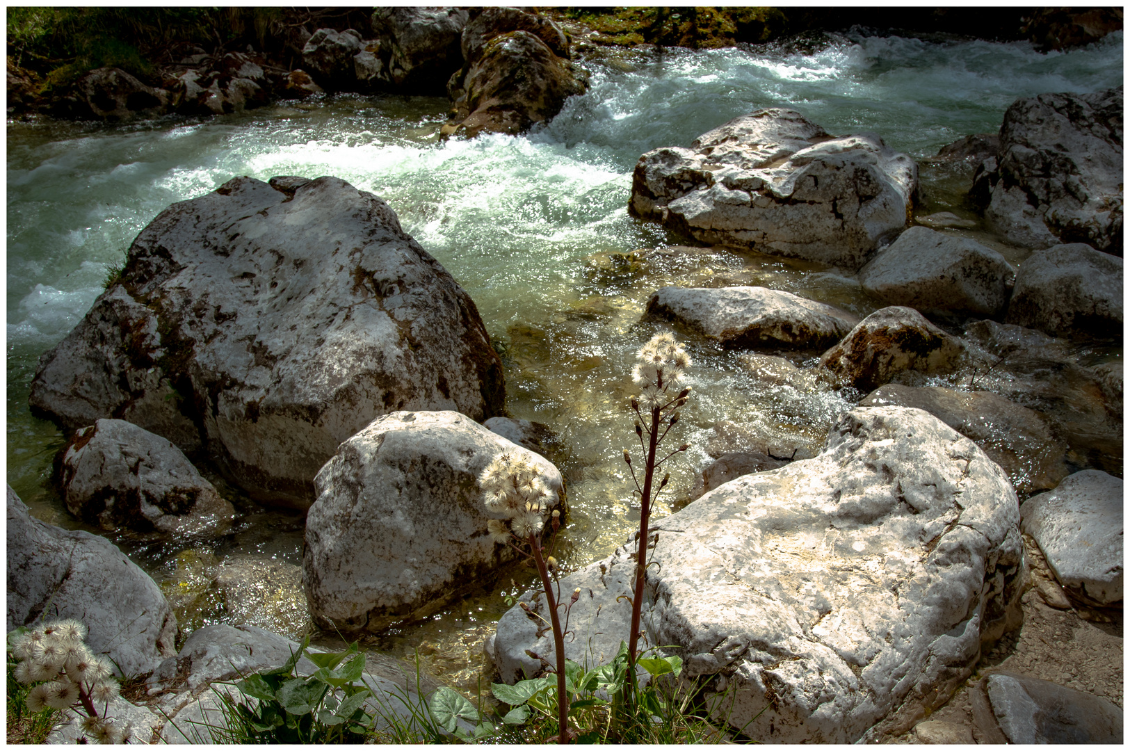 Licht und Schattenspiele am Flussbett.....