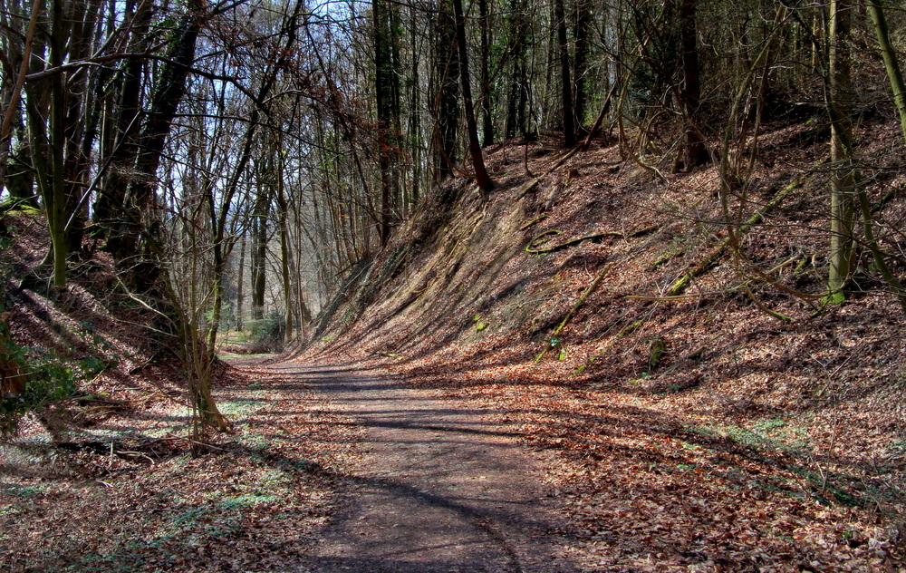 Licht- und Schattenspiele im Siebengebirge