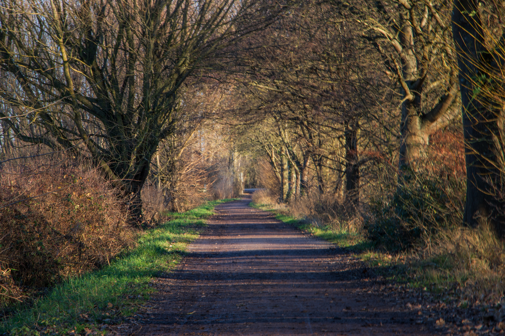 Licht- und Schattenwege