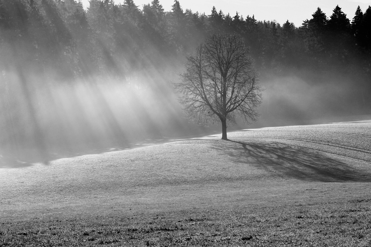 Licht und Tränen