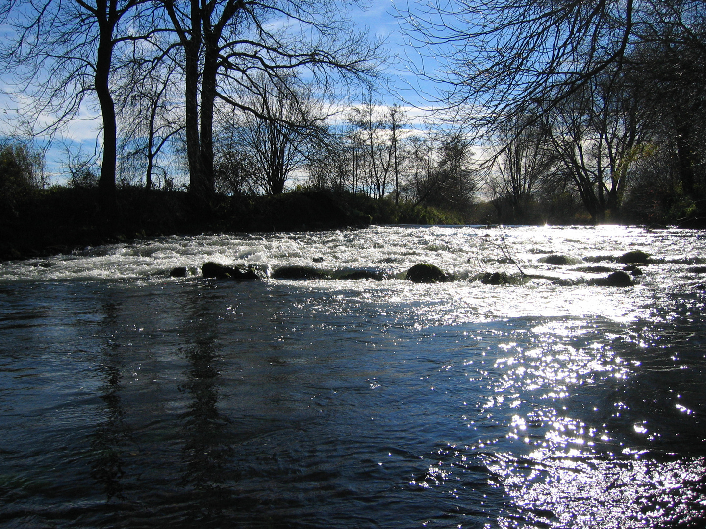 Licht und Wasser