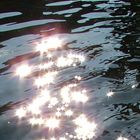 Licht und Wasser