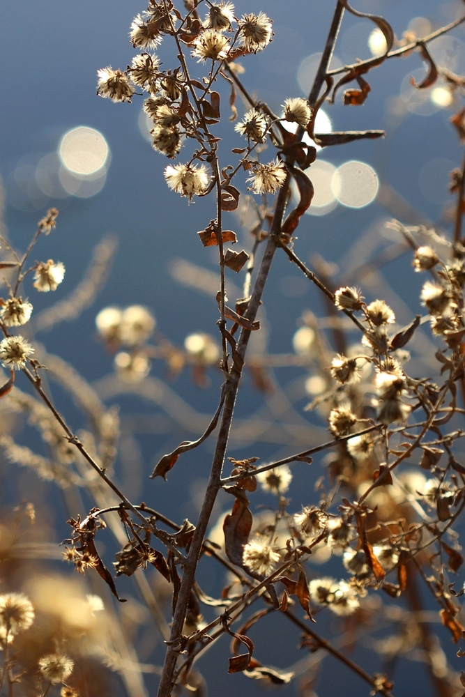 Licht und Wasser