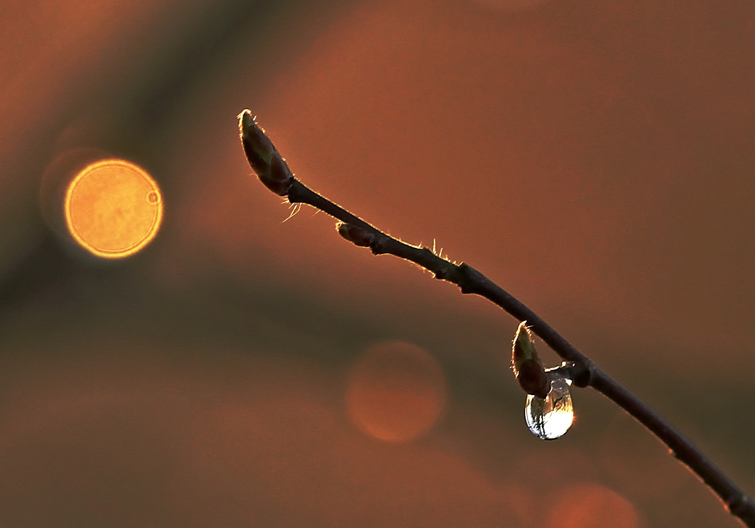 Licht und Wasser ....