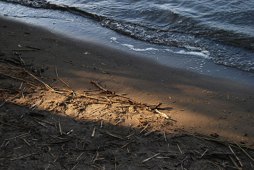 Licht und Wasser