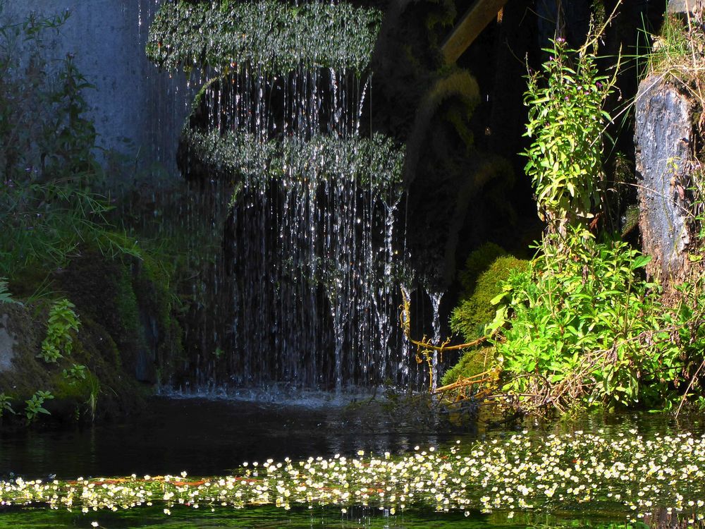 Licht und Wasser