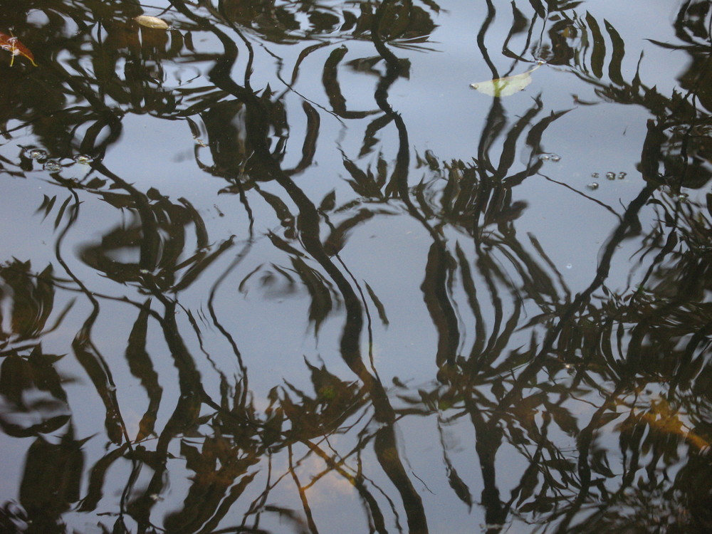 Licht- und Wasserspiegelung