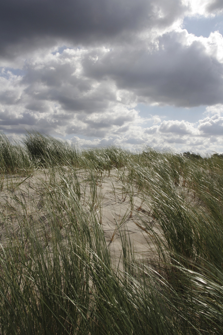 Licht- und Windspiel