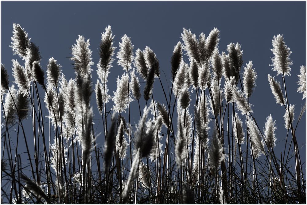 Licht- und Windspiele