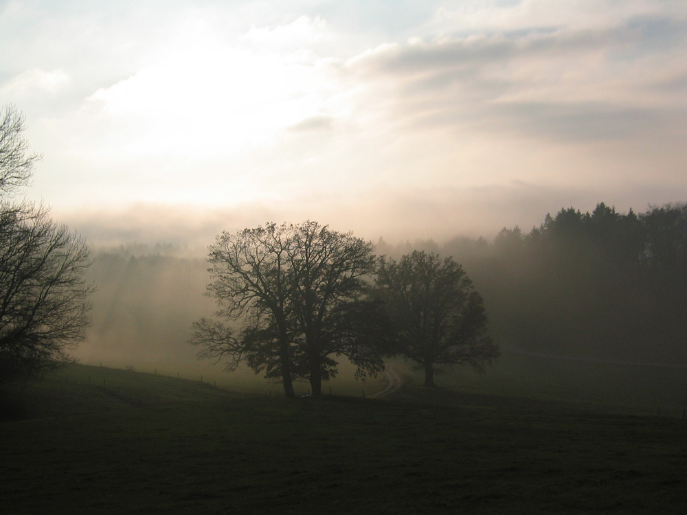 Licht und Wolken