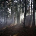 Licht verdrängt den Nebel