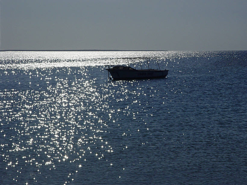 Licht verwandelte die See in einen Sternenhimmel