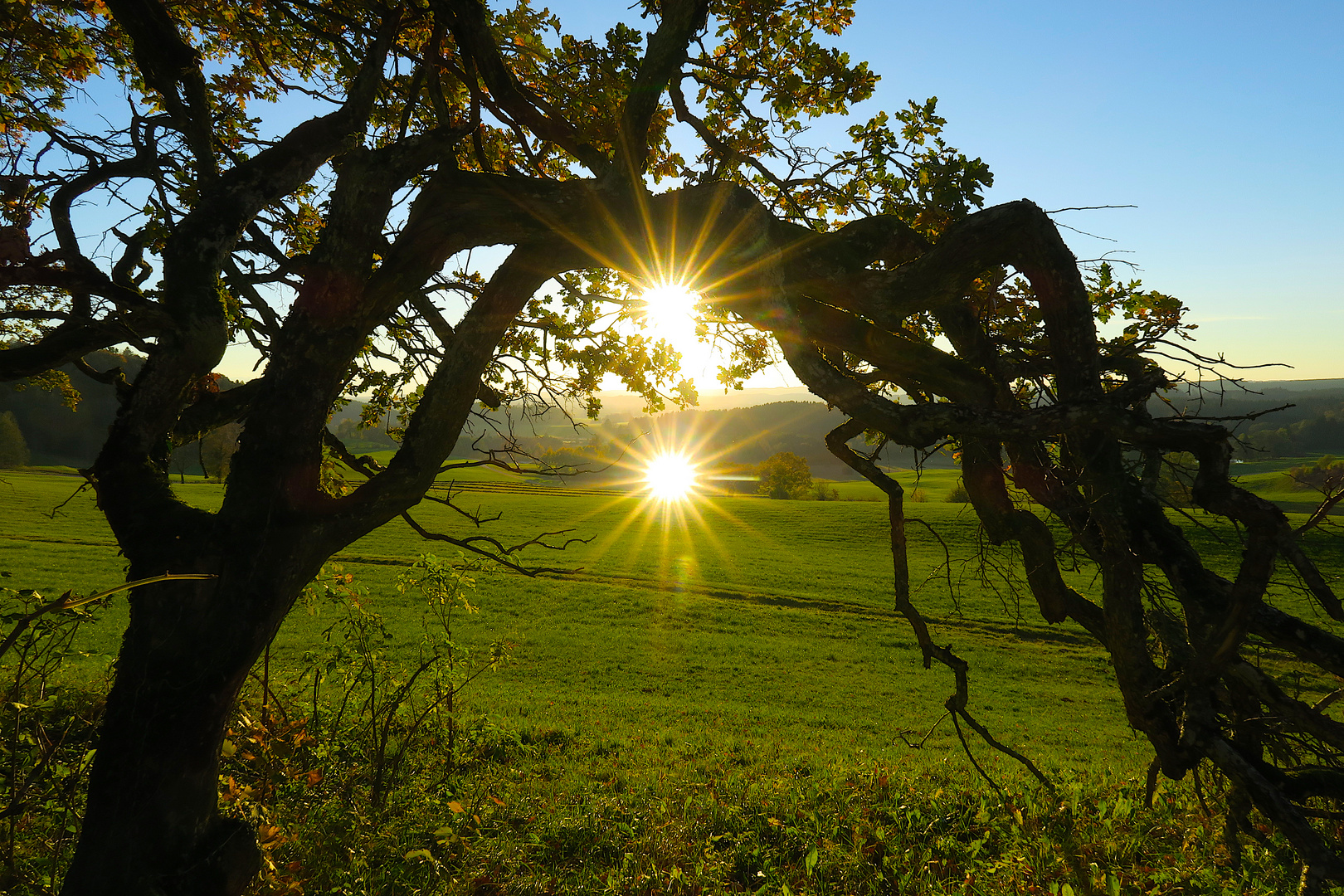 Licht von Unten