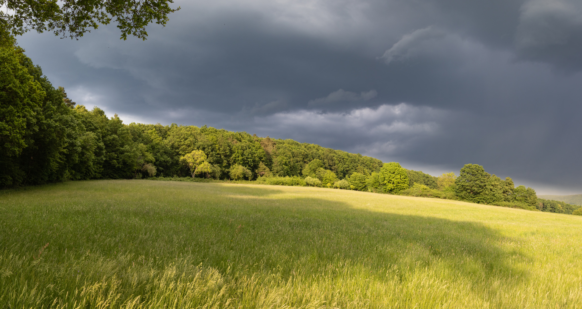 Licht vorm Sturm