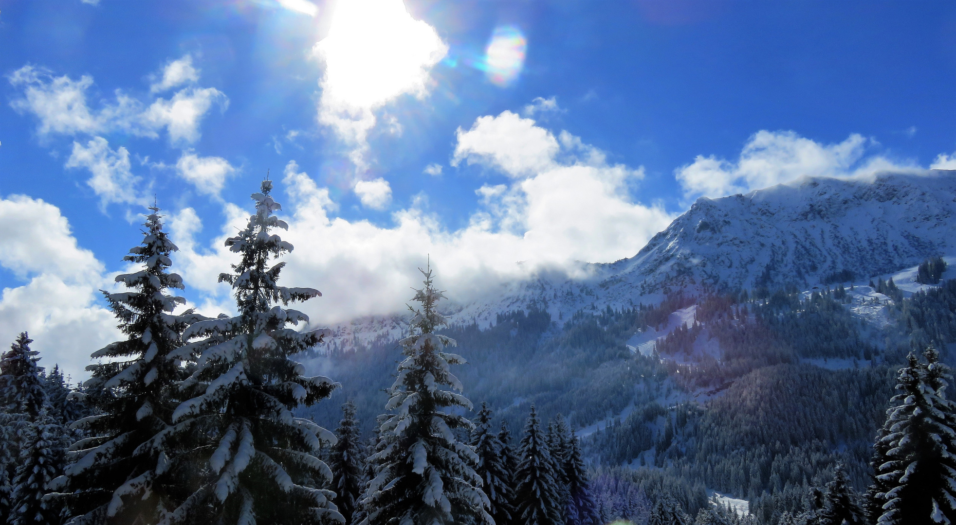 Licht wird den Winter vertreiben.