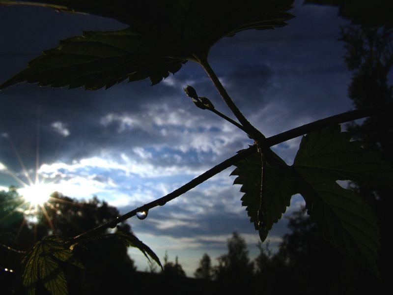 Licht wirft keine Schatten