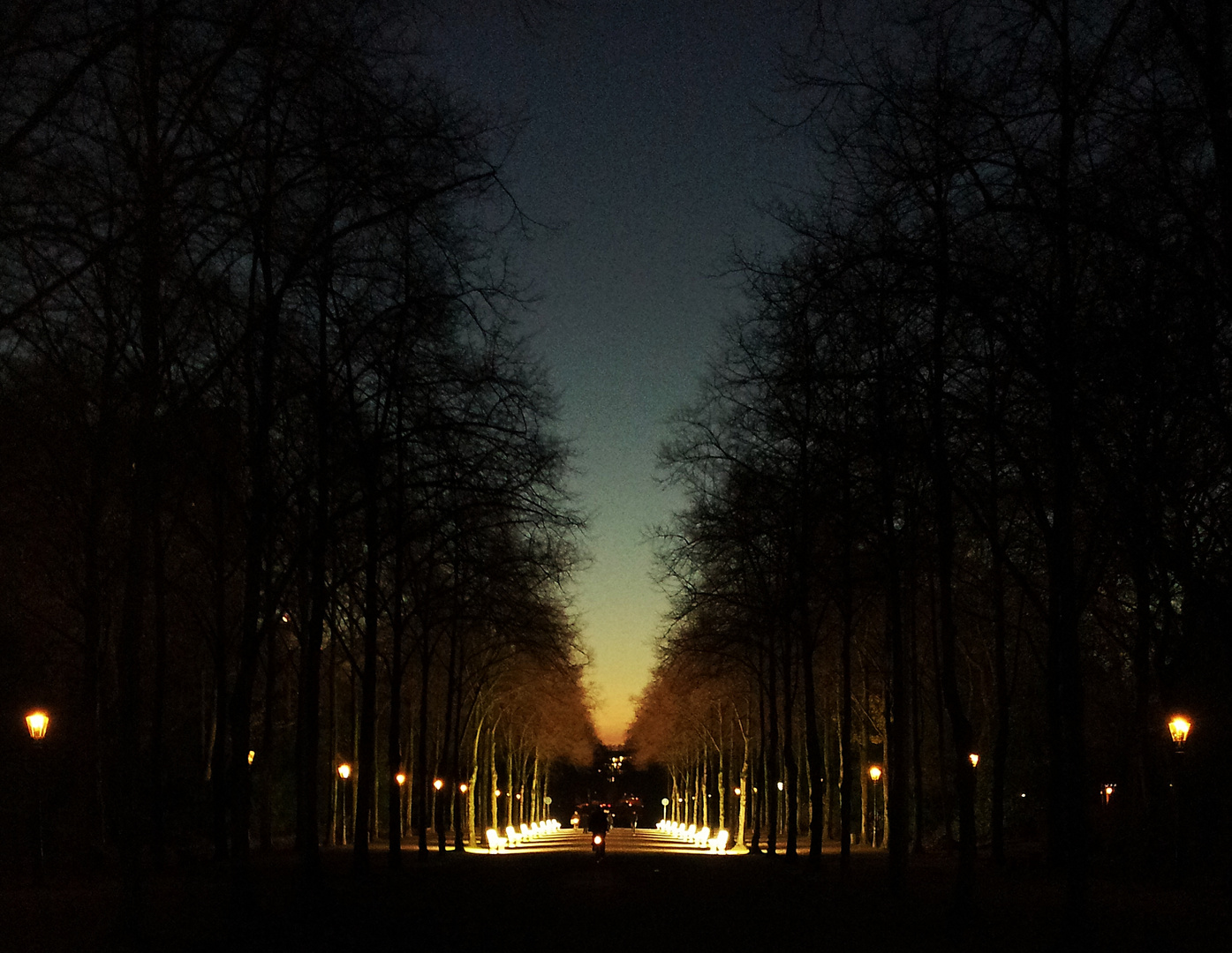 Lichtbänke im Hofgarten