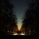 Lichtbänke im Hofgarten