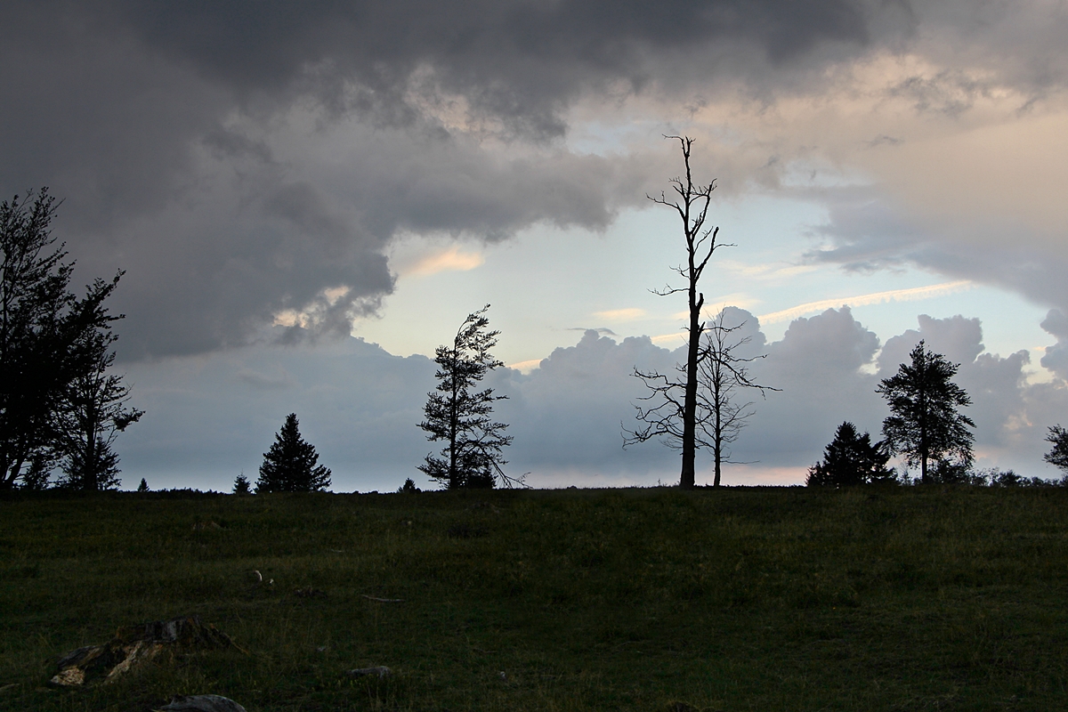 Lichtblick