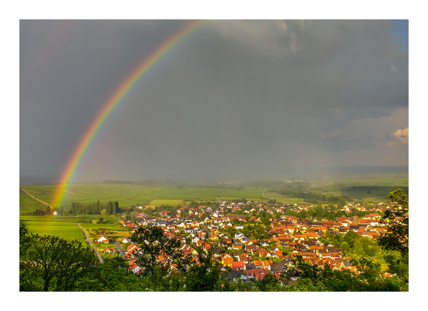 Lichtblick