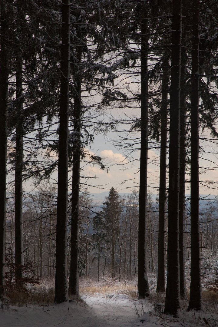 Lichtblick