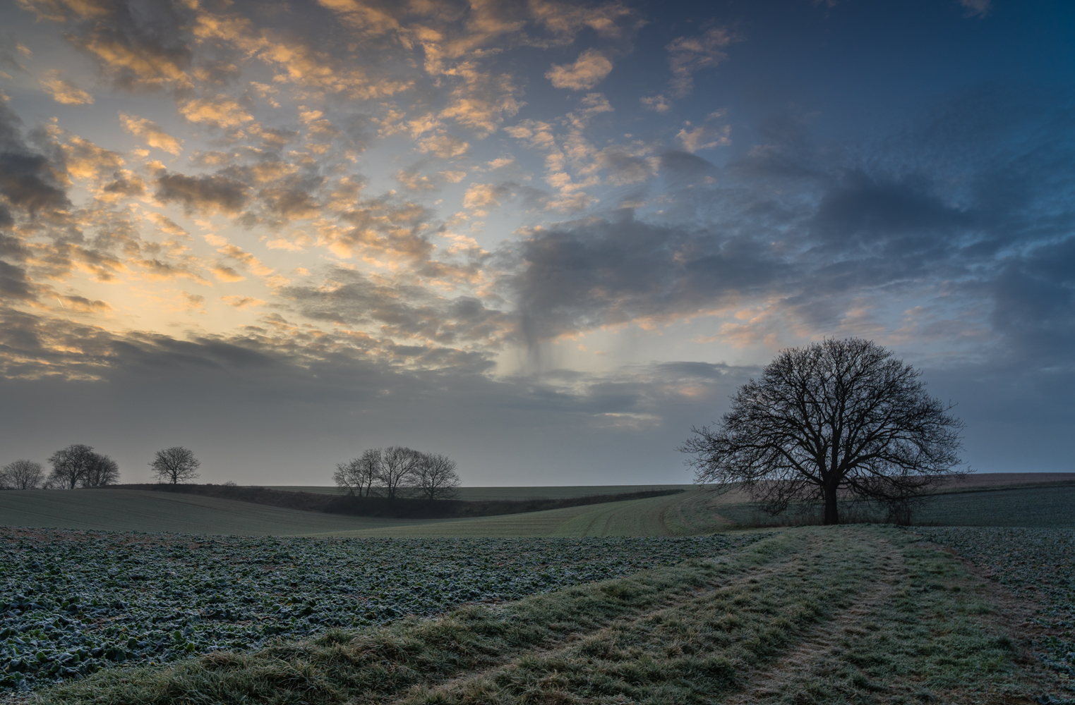 Lichtblick