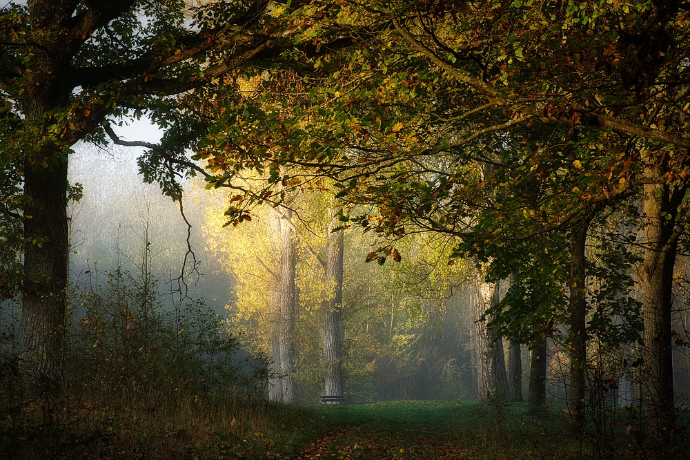 Lichtblick