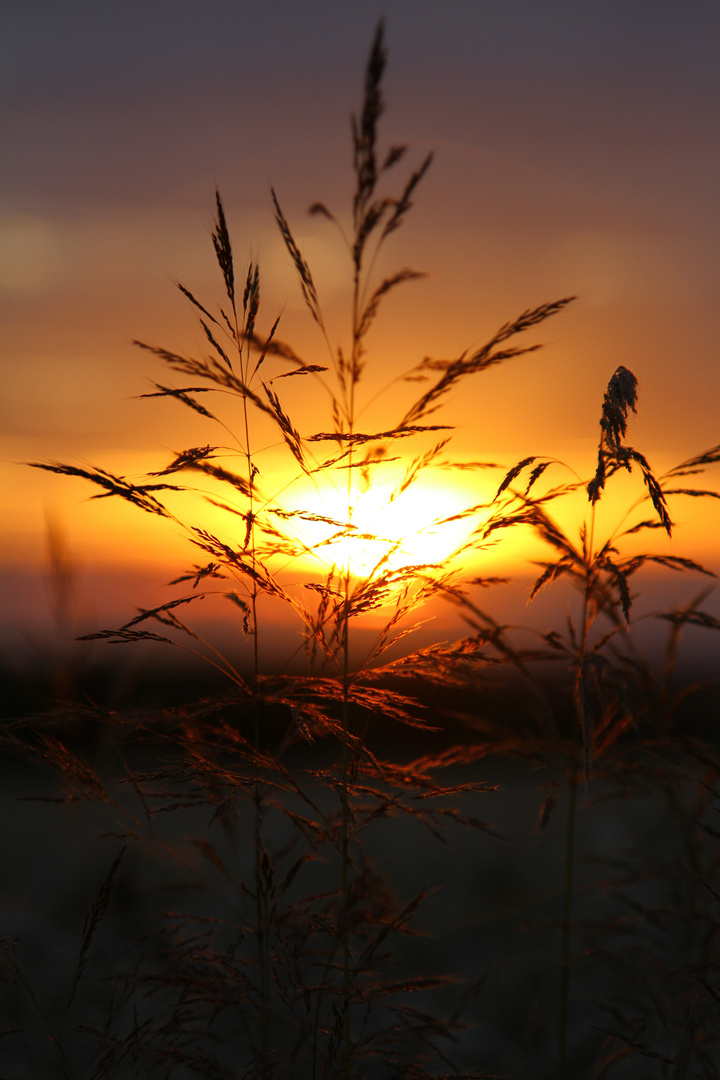 Lichtblick