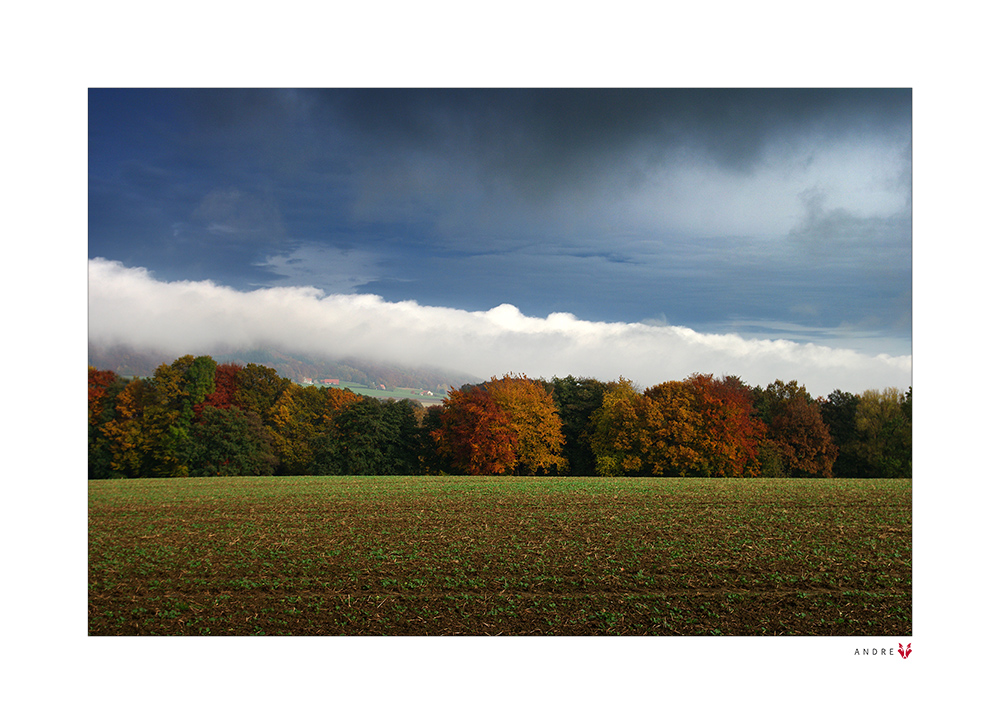 LICHTBLICK