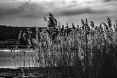 Lichtblick