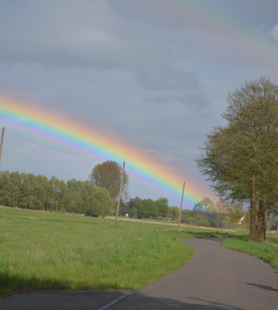 Lichtblick