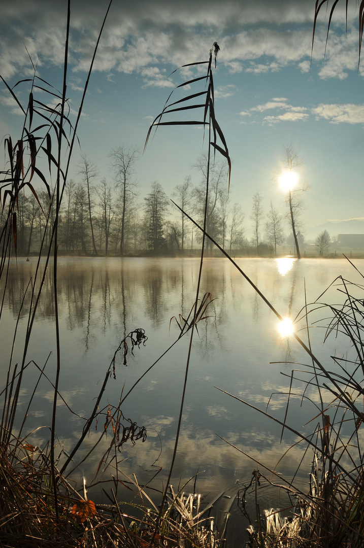 Lichtblick