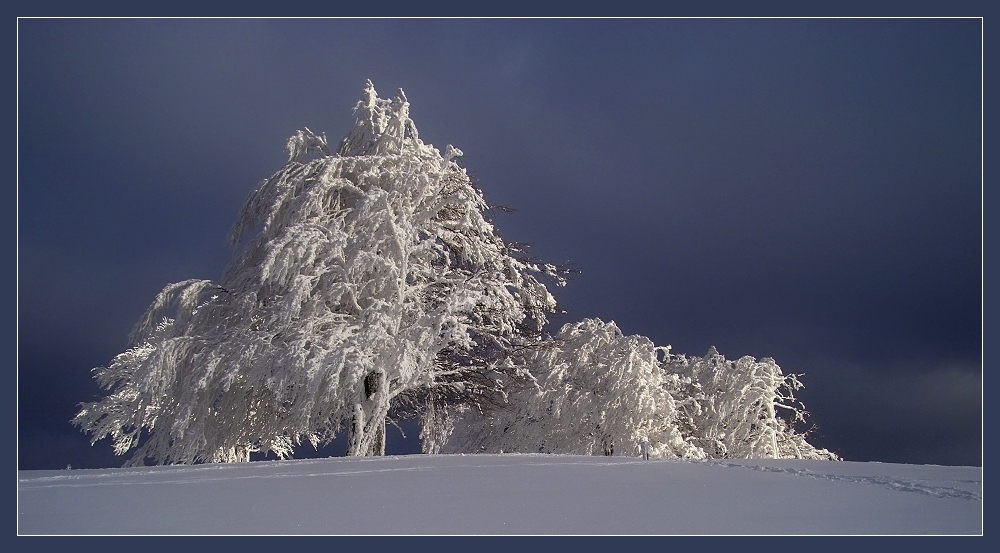 Lichtblick 4