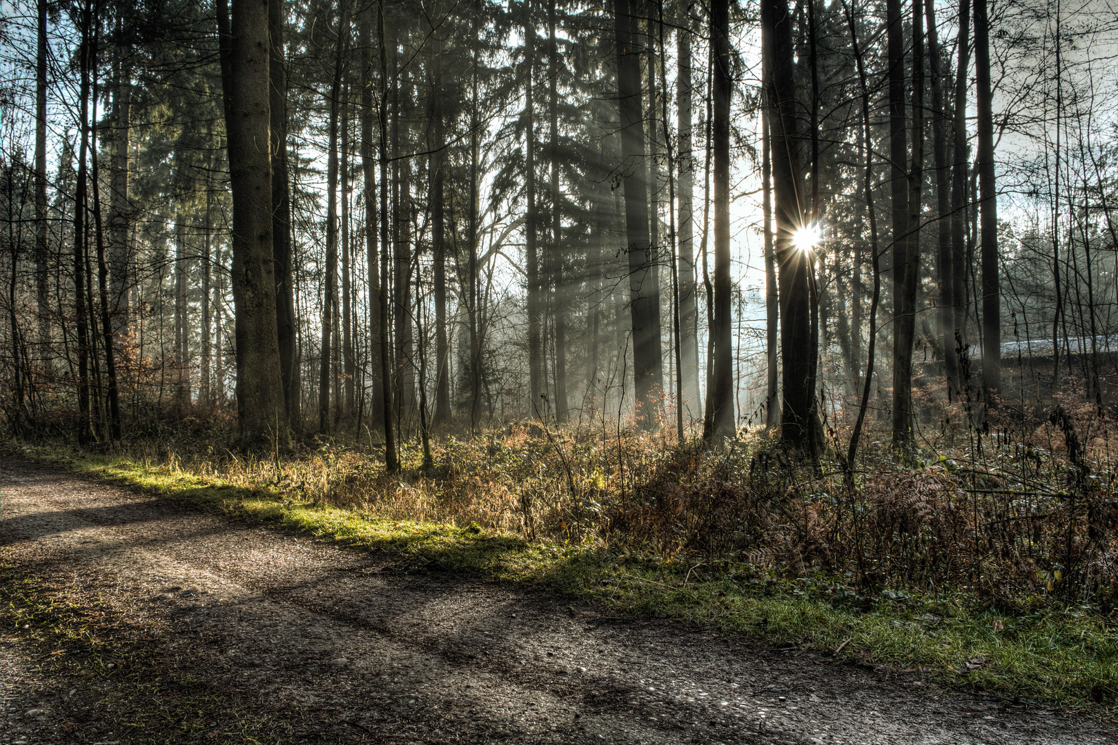 Lichtblick