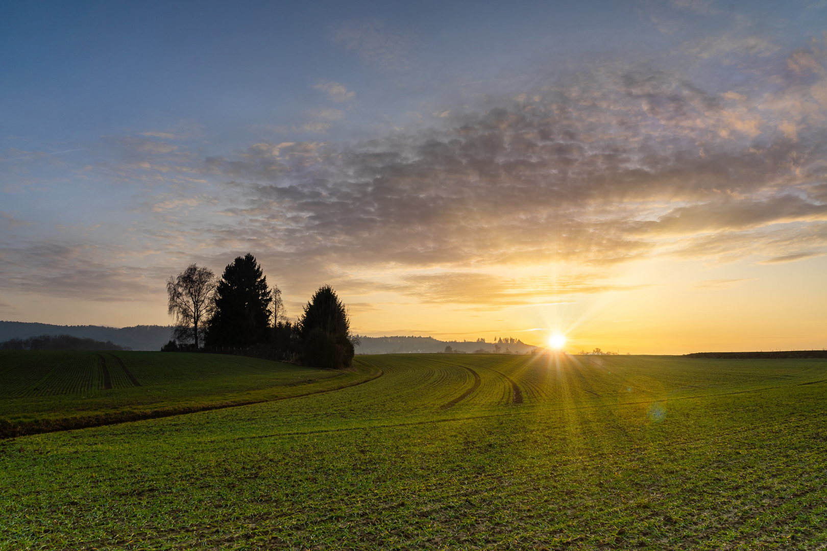 Lichtblick