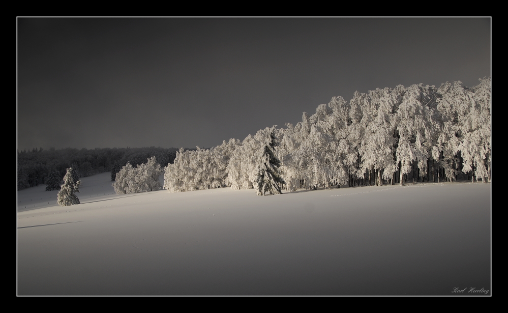 Lichtblick