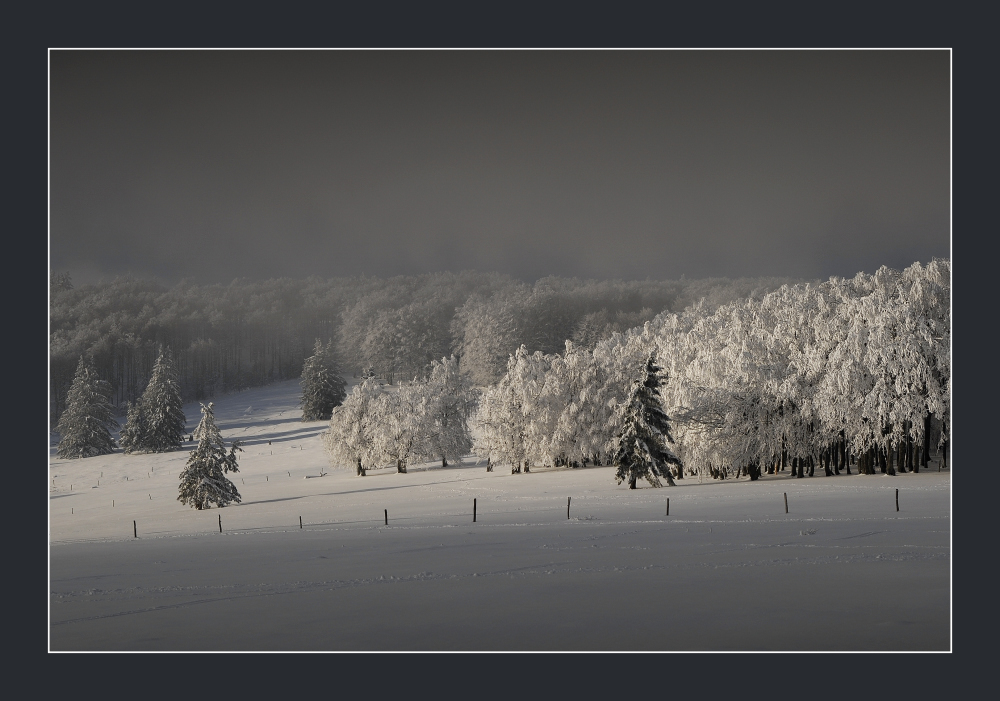 Lichtblick