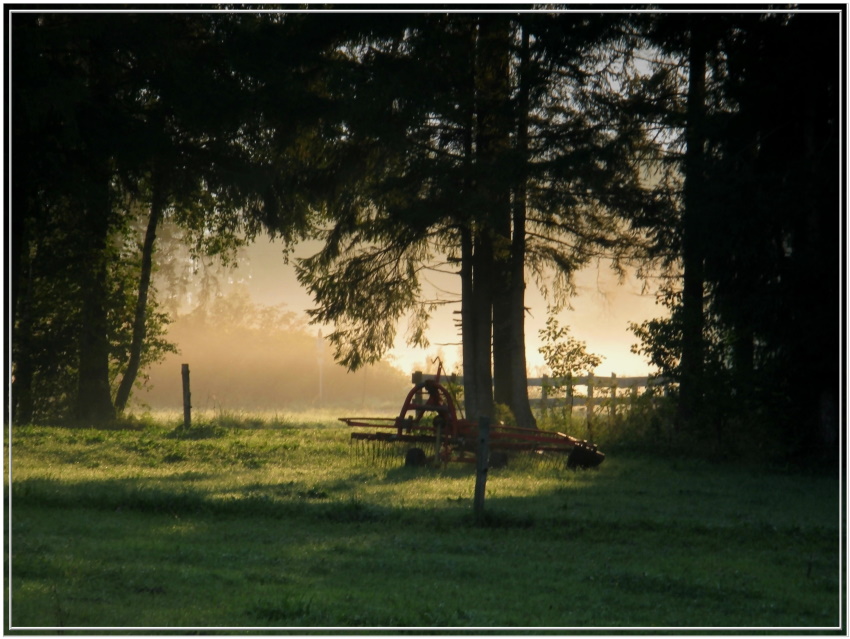 Lichtblick