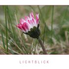 Lichtblick