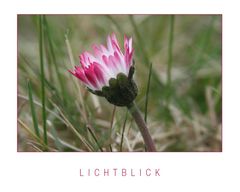 Lichtblick