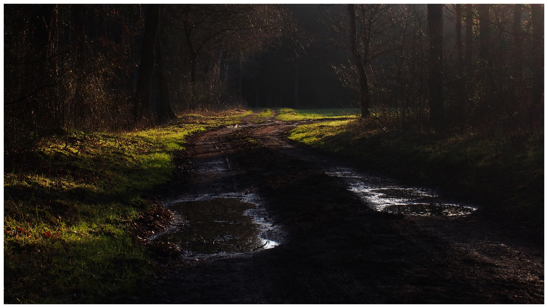 Lichtblick