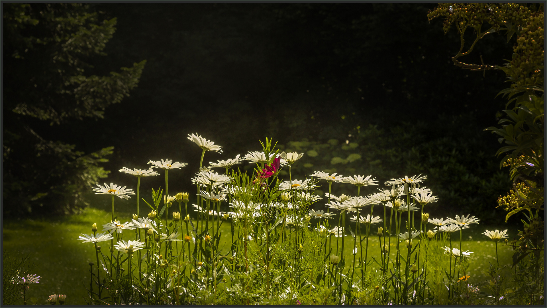 LICHTBLICK